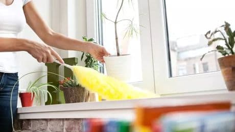 Brits urged to wipe windowsills for 30 seconds every day this week