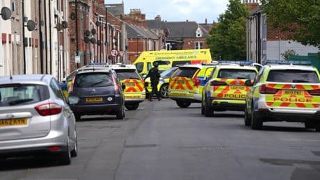 Four injured after three dogs escaped and mauled ‘several people’ in terrifying attack on residential street