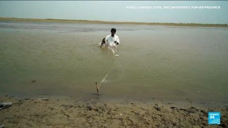 Pakistan farmers worry after India suspends key water treaty