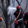 2000 Feuerwehrleute im Einsatz: Waldbrand in Südfrankreich endlich unter Kontrolle