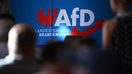 Einstufung der AfD: Brandenburger Verfassungsschutz setzt AfD-Hochstufung aus