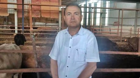 Fotoğrafını çekmek istediği dananın saldırısında hayatını kaybetti! Çiftlikte dehşet anları