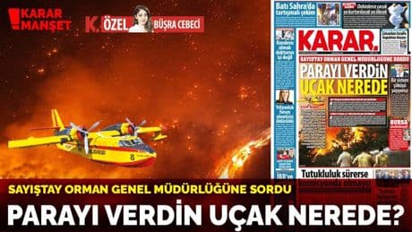 Sayıştay Orman Genel Müdürlüğüne sordu: Parayı verdin uçak nerede?