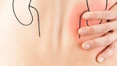 La mejor verdura que te ayudará a limpiar los riñones de forma natural