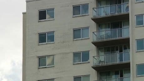 Boy, 2, survives 15-storey tower block plunge after landing in shrub in 'miraculous' escape