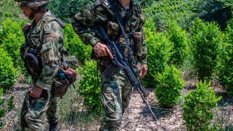 Trump Administration Questions Colombia’s Anti-Drug Efforts and Weighs Cutting Aid
