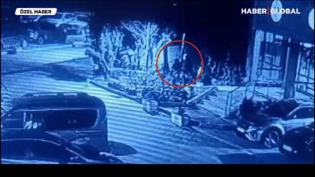 İstanbul'da kediye tekmeli saldırı: Savcılığın takipsizlik kararına itiraz