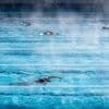 Le club formateur de Léon Marchand annonce ouvrir la Cité de la natation à Toulouse début 2028