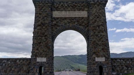 Florida man gored by bison in year's first attack by Yellowstone's most dangerous wild animal