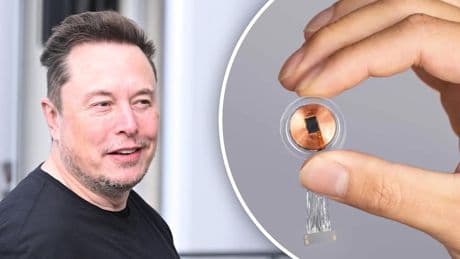 650 Millionen für Neuralink - Musk sucht neue Versuchs-Personen für Gehirn-Chip