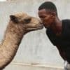 Somalia's camel milk revolution is improving nutrition and creating jobs