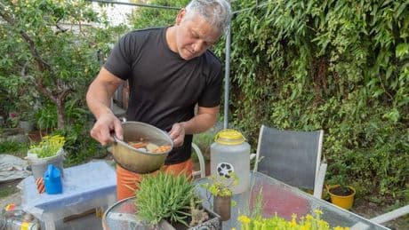 Edible gardener's natural fertiliser made with ingredient you normally pour down drain