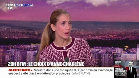 LE CHOIX D'ANNE-CHARLÈNE- Présidence LR: beaucoup de bruit pour rien ?