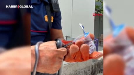 İtfaiye eri, yakaladığı yılana su içirdi