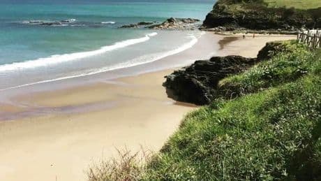 Hidden gem UK beach no one knows about with golden sands and dolphins