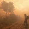 Incendies : l'Europe du Sud face à des flammes dévastatrices