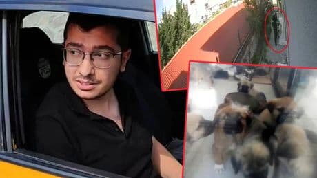 Yavru köpekleri sahiplenip evde parçalayan doktorla ilgili kan donduran yeni detay: Cinsel istismarda bulunmuş!