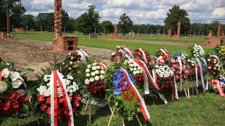 Génocide des Tsiganes : un collectif appelle à sortir de l’oubli