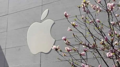 iPhone 17 serisi ne zaman tanıtılacak?