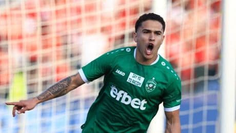 Pronostico Ludogorets-Ferencvaros: quote e statistiche del match