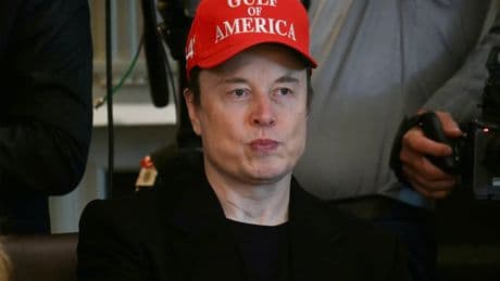 Elon Musk Was Donald Trump’s Useful Idiot