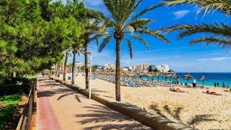 Tourists baffled as Magaluf beach transformation leaves holiday hotspot unrecognisable