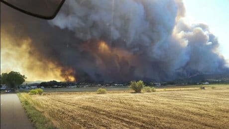 Waldbrände in Südeuropa: Frankreich meldet größten Flächenbrand seit 1949
