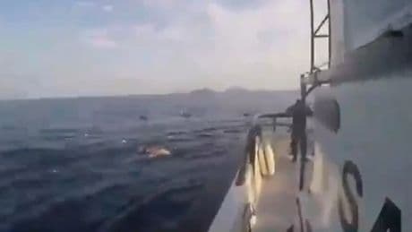 Naufragio con más de 150 migrantes a bordo frente a la costa de Yemen: solo hay 12 supervivientes