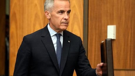 Should Canada have warned the U.S. about recognizing Palestinian statehood?
