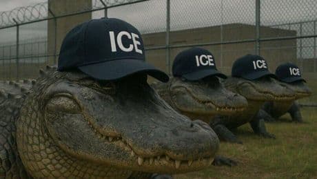 Hiltzik: With 'Alligator Alcatraz,' Trump and DeSantis define their immigration policy as a tragic farce