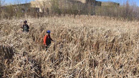 ‘Would have been devastating’: Fire at Oak Hammock Marsh narrowly misses new building