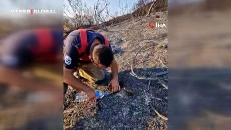 İtfaiyeciden, alevler içinde mahsur kalan kaplumbağaya can suyu