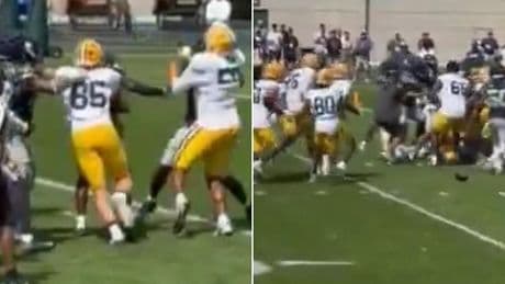 Seahawks and Packers practice erupts into 50-man brawl with punches thrown between NFL rivals