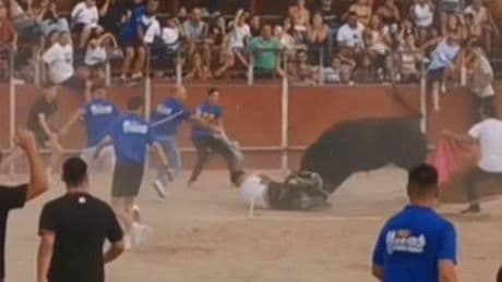 Un toro siembra el pánico en la plaza de toros de Yuncos (Toledo) al cornear a un joven durante un encierro