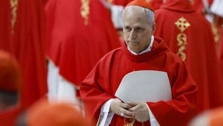 PORTRAIT - Léon XIV : qui est le cardinal Prevost, le nouveau pape élu ?