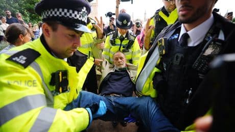 Arrests begin at Palestine Action protest as hundreds gather in Parliament Square