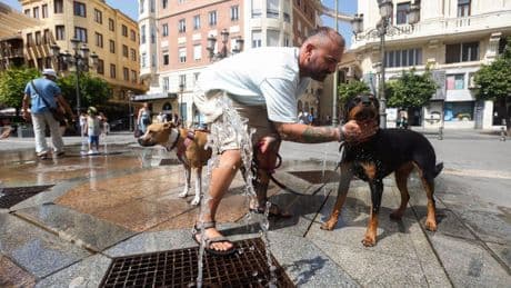 Catalunya afronta el peor día de la ola de calor con riesgo extremo de incendio en 133 pueblos