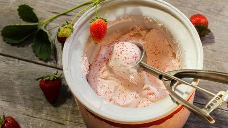 Gelateria zu Hause: Mit diesen Eismaschinen gelingt leckeres Speiseeis fast von alleine