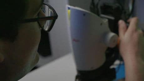 Dos startups gallegas, entre las finalistas para coronarse como el proyecto más innovador del mundo