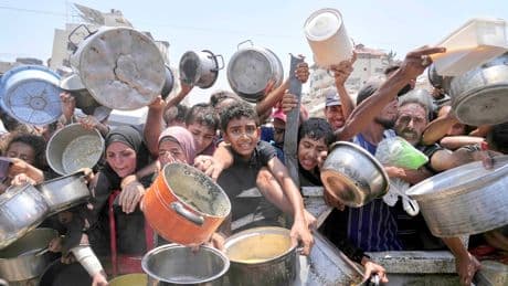 Israeli human rights organisations accuse country of genocide