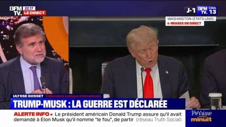 Passe d'armes à distance: Donald Trump et Elon Musk actent leur rupture dans une guerre d'égo