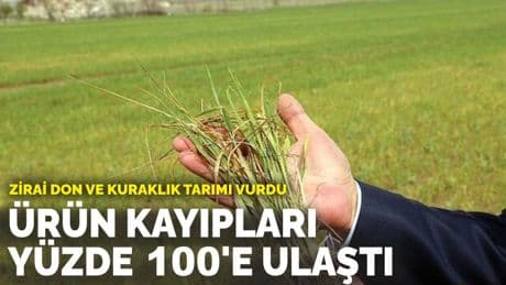 Kuraklık ve don tarımı vurdu: Ürün kayıpları yüzde 100'e ulaştı