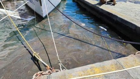 Idrocarburi nel mare davanti alle Grazie: scatta il divieto 
di balneazione