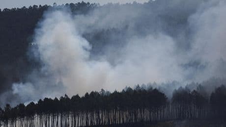 Incendies : avec plus d’un million d’hectares brûlés dans l’UE, le record datant de 2017 est battu