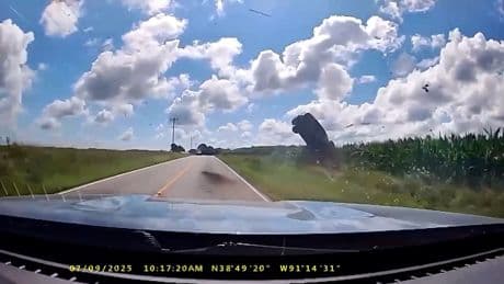 Vollgas, Crash, Festnahme - Irrer Highway-Trip endet im Maisfeld!