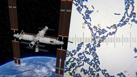 Hemos encontrado bacterias en la estación espacial china. Lo más sorprendente es que es una especie nueva