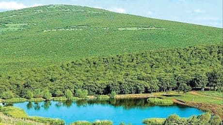 Meşe ormanlarına maden ocağı ruhsatı