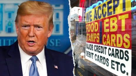 'Dangerous and illegal': Democrat AGs sue Trump over effort to use SNAP to locate migrants