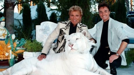 Hier wohnten Siegfried & Roy - „Little Bavaria“ wird plattgemacht