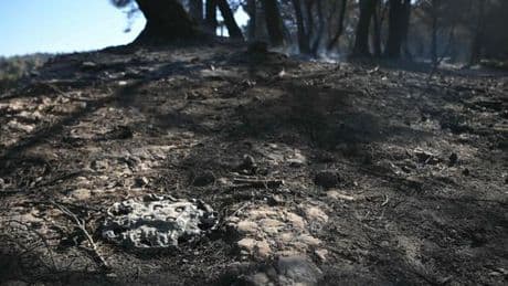 En direct, incendies : le feu à Marseille « en très nette régression », deux autres sont toujours actifs, dans le Gard et près de Narbonne